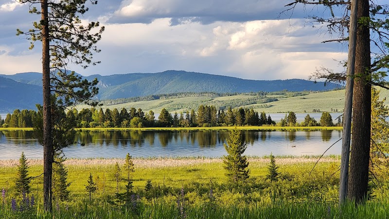 Hebgen Lake in Yellowstone National Park, calm water reflecting a tree-lined shore and distant green hills.