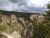Rugged yellow-brown canyon walls with pine trees along the rim under a cloudy sky in Yellowstone National Park.