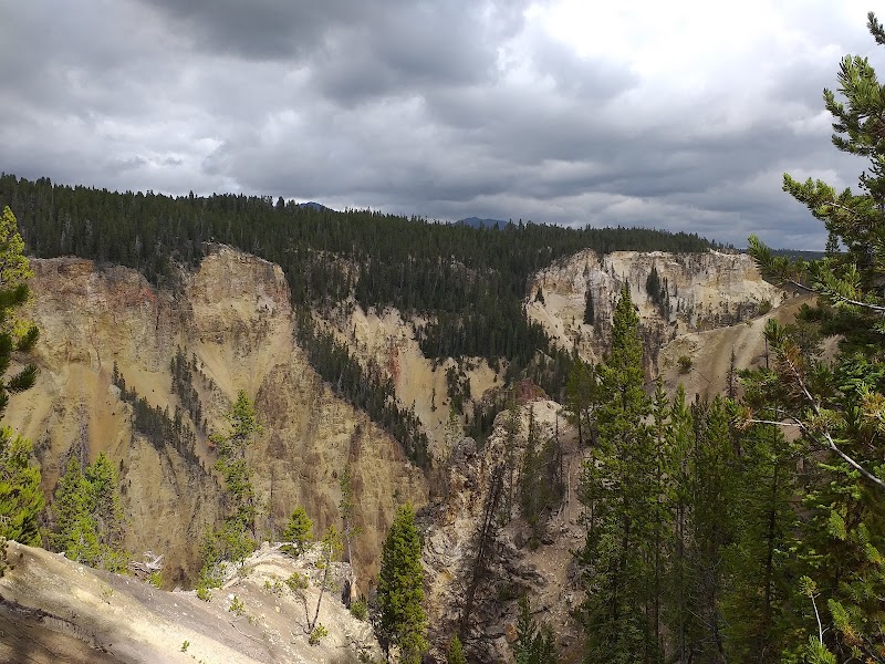 Rugged yellow-brown canyon walls with pine trees along the rim under a cloudy sky in Yellowstone National Park.