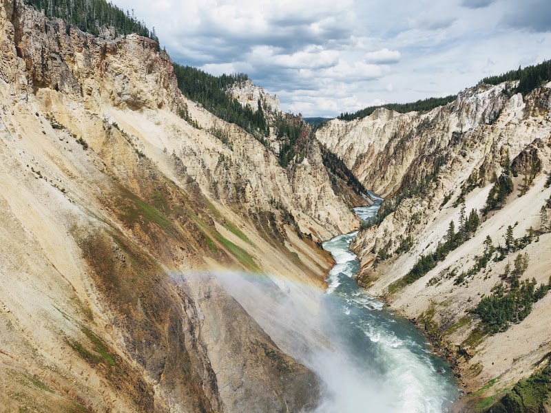 Rainbow mist arches over the Lower Falls of the Yellowstone River in a deep canyon amid tan cliffs at Yellowstone National Park.