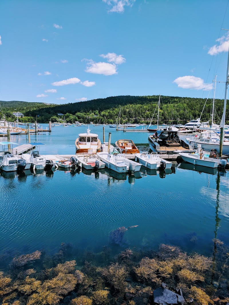 Boats docked along a calm harbor at Acadia National Park, blue water reflecting masts against forested hills.