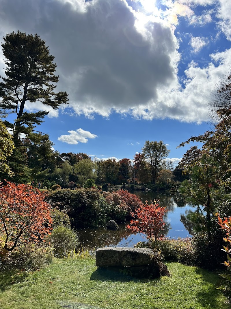 Autumnal park scene at Acadia National Park featuring a calm pond, red shrubs, colorful trees, and a stone bench.