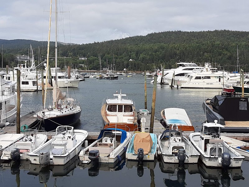 Boats and yachts docked at a marina in Northeast Harbor with forested hills, Acadia National Park.
