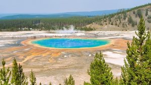 Grand Prismatic Spring glows with a vivid blue center and orange rings at Yellowstone National Park.