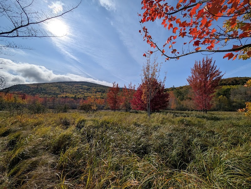 Jesup Path and Hemlock Path Loop in Acadia National Park, showing vibrant fall colors across open meadow and red maples.