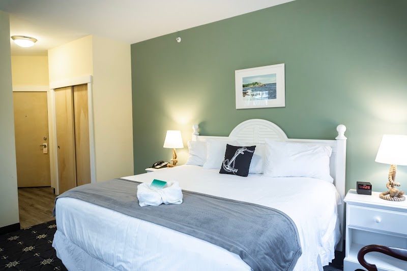 Bright hotel room with white paneled bed on a green wall, two nightstands, lamps, and a seascape in Acadia National Park.