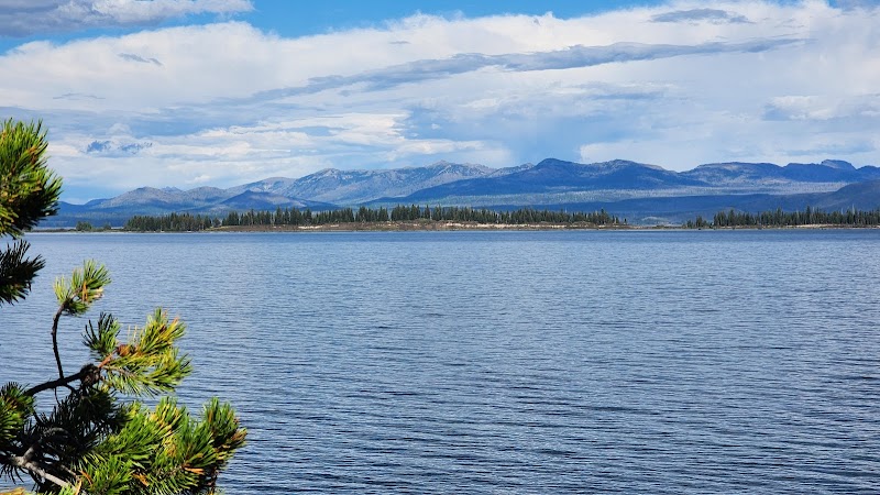 Calm Yellowstone Lake in Yellowstone National Park, with a distant tree-lined island and pine branches in the foreground.