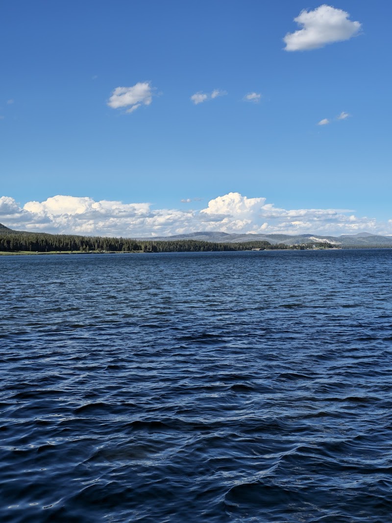 Calm, rippled dark blue Yellowstone Lake stretches toward a forested shoreline and distant mountains under a bright blue sky in Yellowstone National Park.