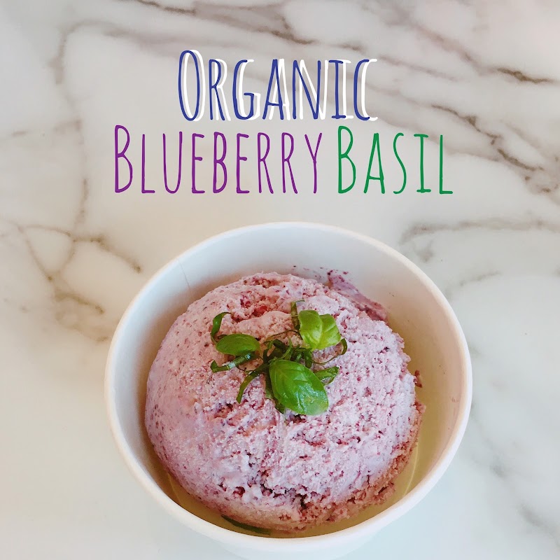 Pink blueberry basil ice cream scoop with mint garnish in a white bowl on a marble counter, Arches National Park area.