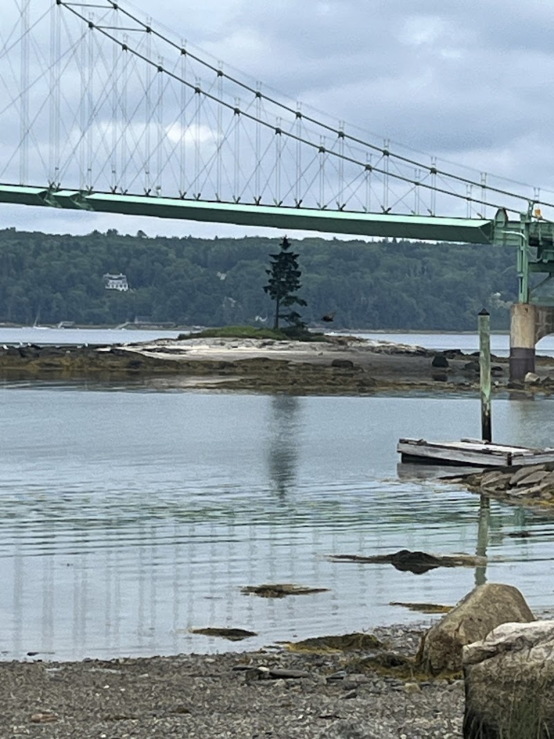 Green suspension bridge over calm water with a rocky shoreline and small island with a lone tree in Acadia National Park.