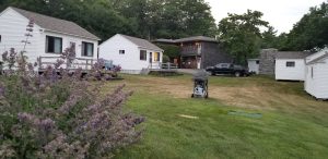 Lodging cottages line a grassy yard at Edgewater Motel & Cottages in Acadia National Park.