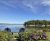 Lakeside garden with purple flowers and two blue Adirondack chairs overlooking a calm inlet in Acadia National Park.
