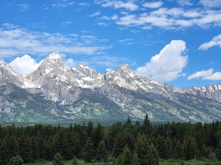 Blacktail Ponds Overlook in Yellowstone National Park showcases jagged snow-capped peaks above forested hills.