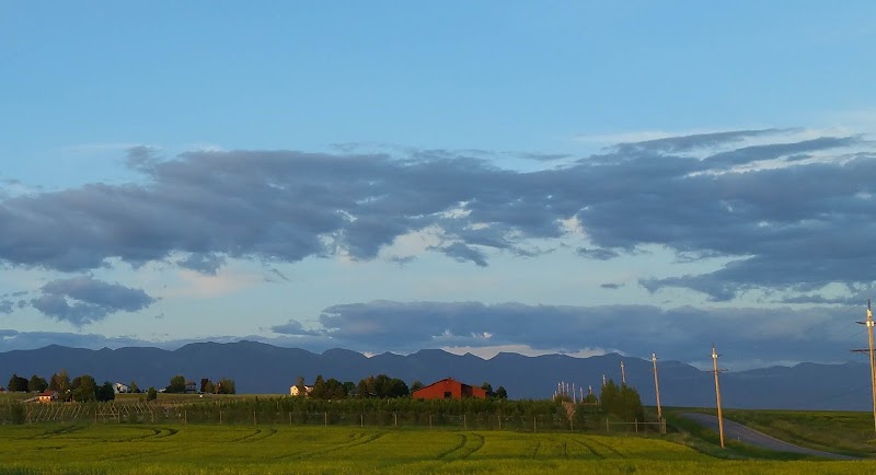 Green fields and vineyard rows with a red barn and blue mountains in the Flathead Valley near Flathead Lake, Montana