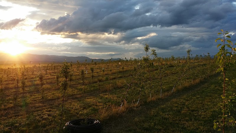 Sunset over Montana ranch fields with blue mountains behind, Flathead Valley near Kalispell