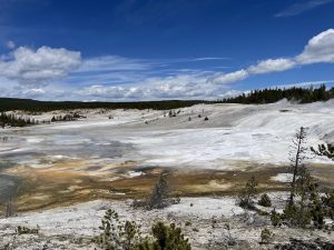 Google place ztKyp2Ns 1767756593