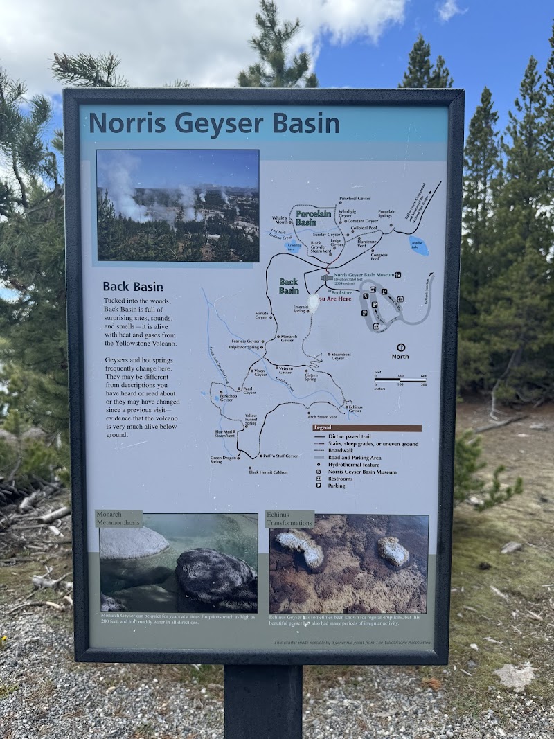 Informational signboard about Norris Geyser Basin at Yellowstone National Park, featuring a map, photos, and surrounding pines.