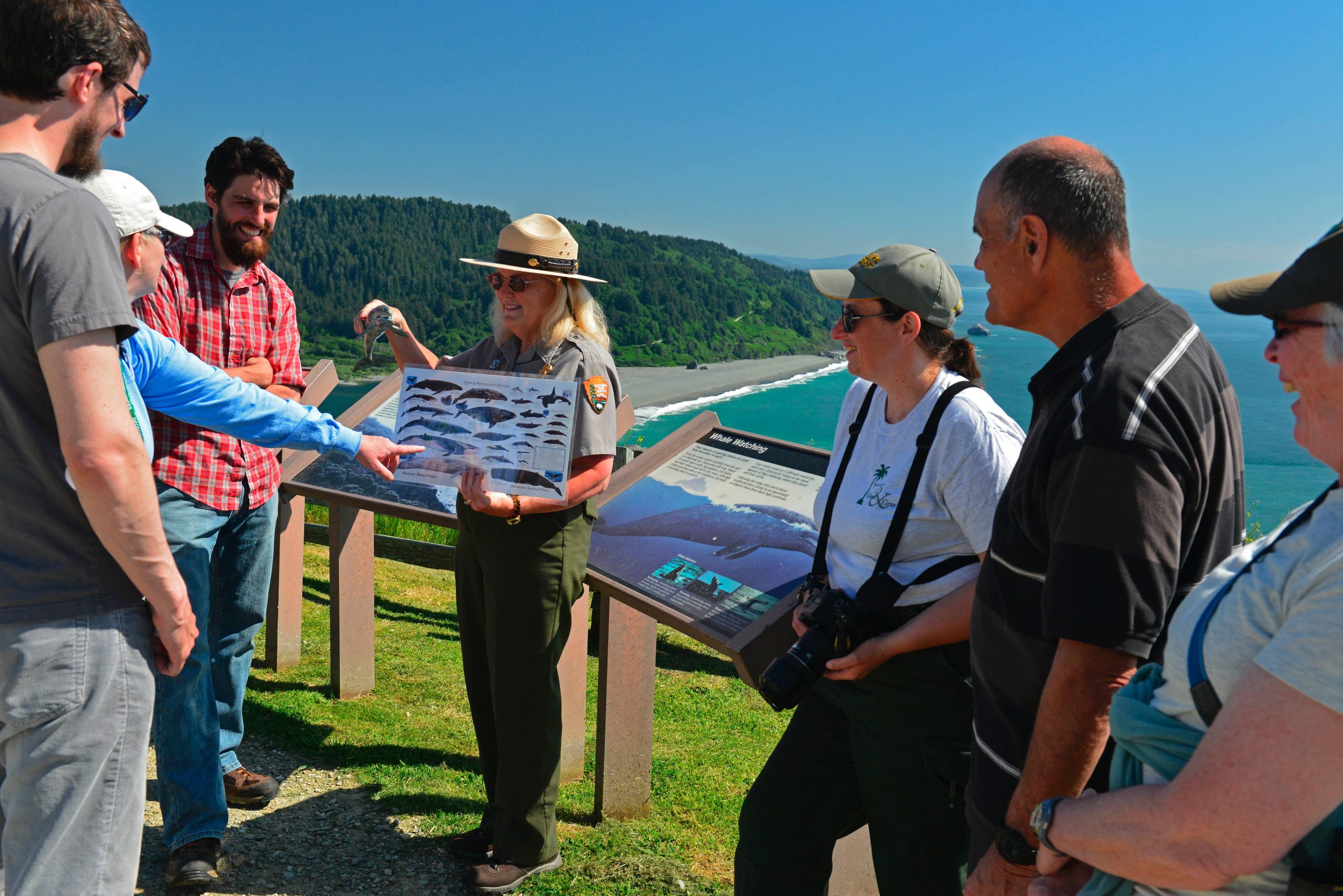 Group of visitors at the Whale Watching overlook in Redwood National and State Parks, examining an interpretive sign about local marine life with coastline beyond.