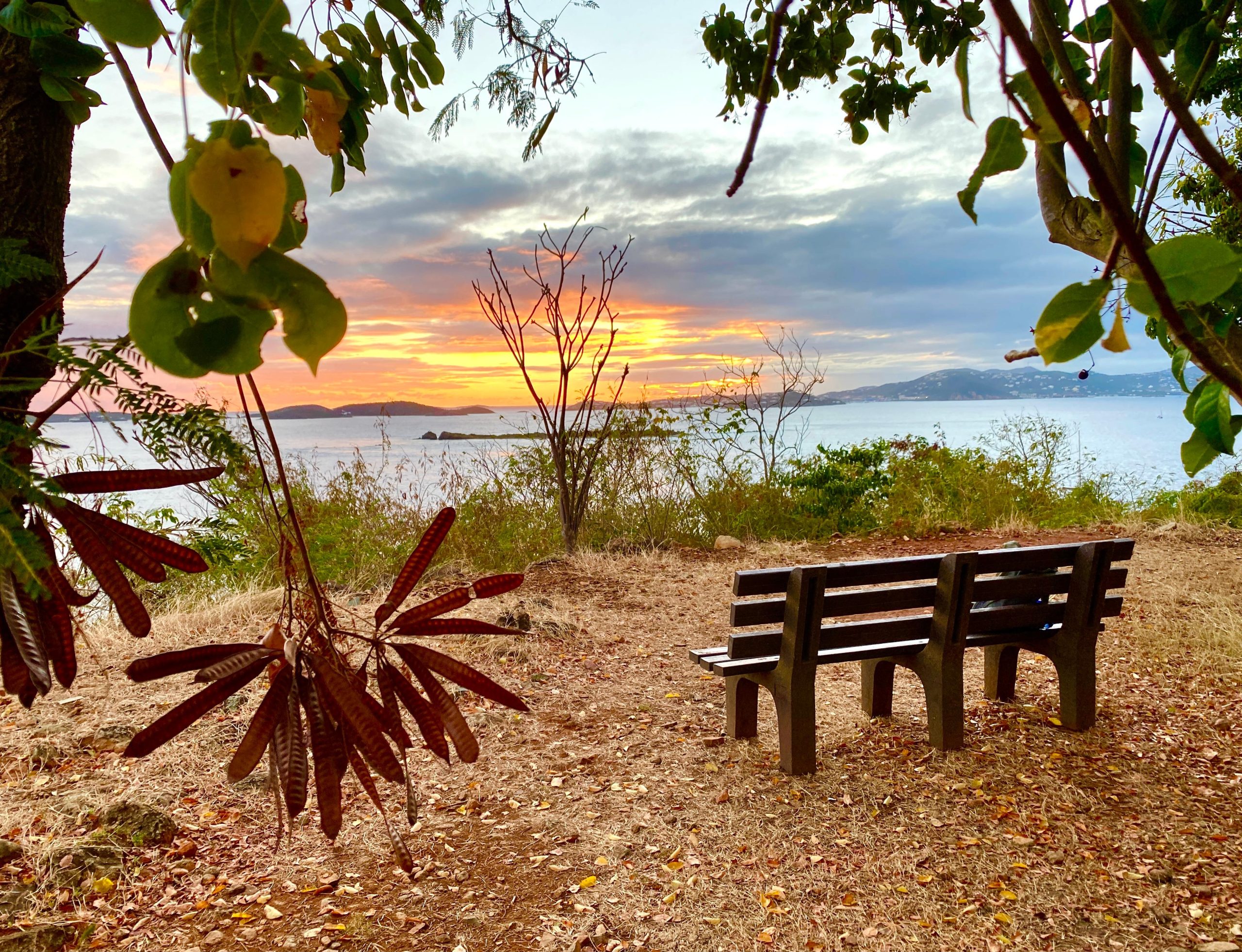 Sunset over the Caribbean viewed from a shaded bench along the coast in Virgin Islands National Park.