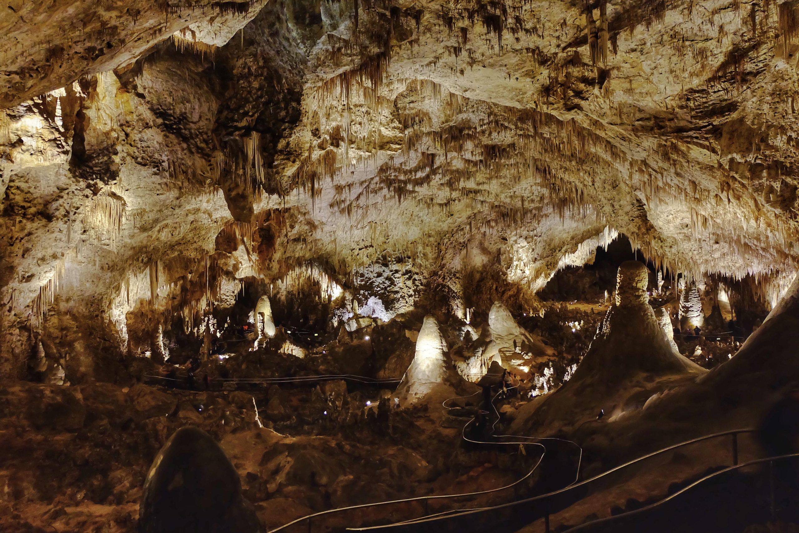 Carlsbad Caverns' Big Room features towering stalagmites and hanging stalactites inside Carlsbad Caverns National Park.