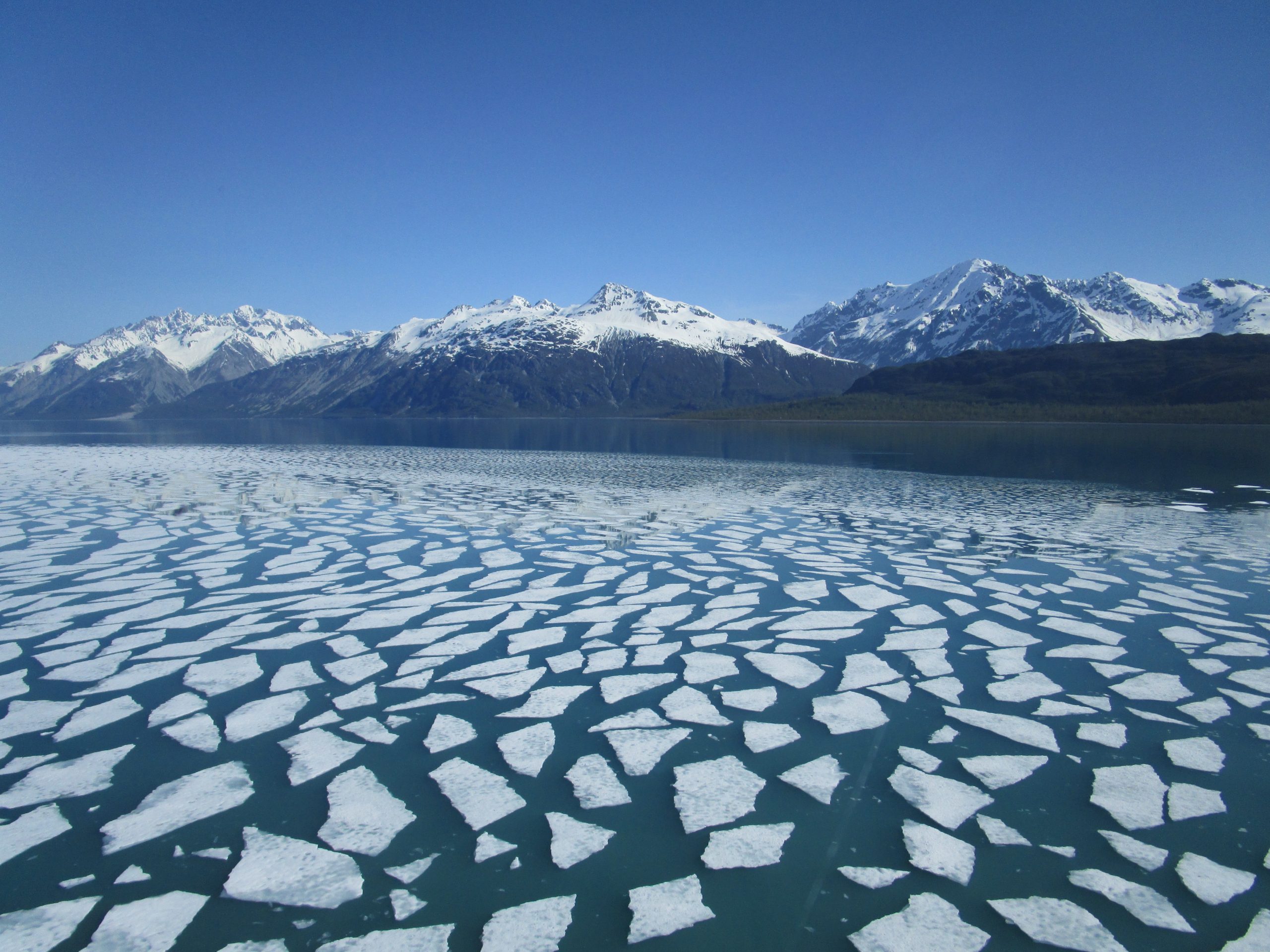 Fractured ice floes blanket turquoise waters near the snow‑spotted mountains of Johns Hopkins Glacier in Glacier Bay National Park & Preserve.
