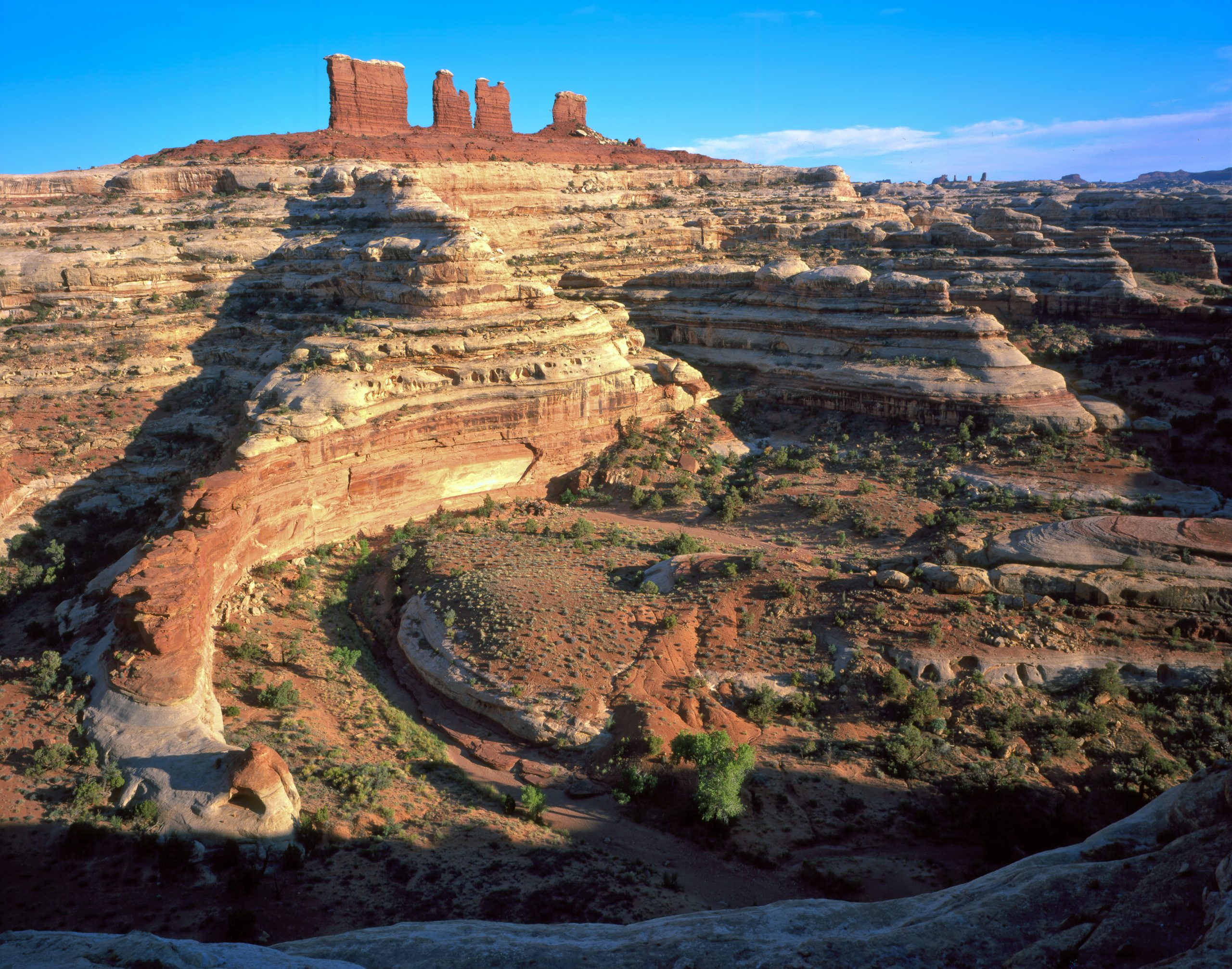 Panoramic view from an Island in the Sky overlook in Canyonlands National Park, showing red and tan layered sandstone fins and distant buttes under a bright blue sky.