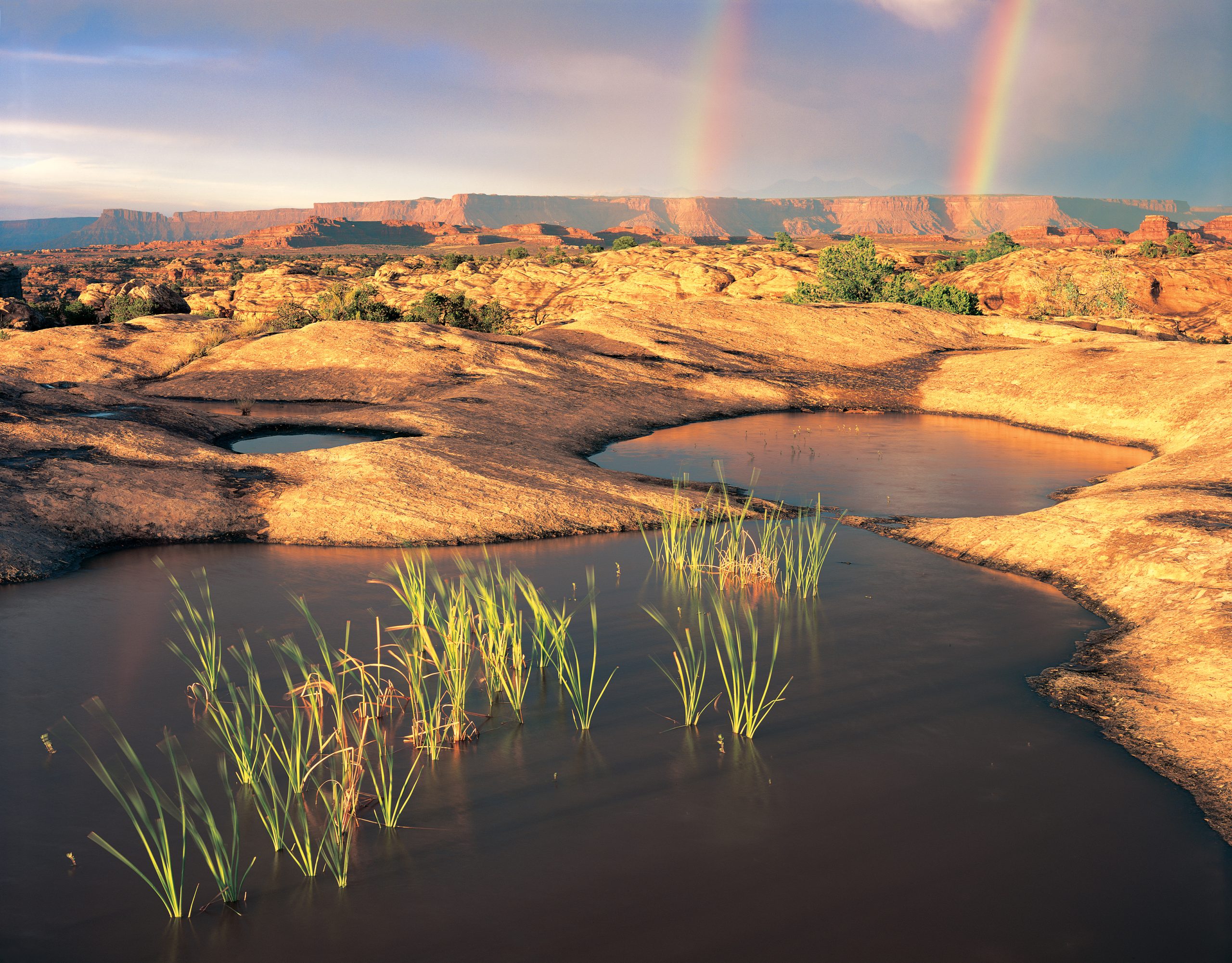 Sunlit red sandstone slickrock with water-filled pools and a double rainbow over Canyonlands National Park.