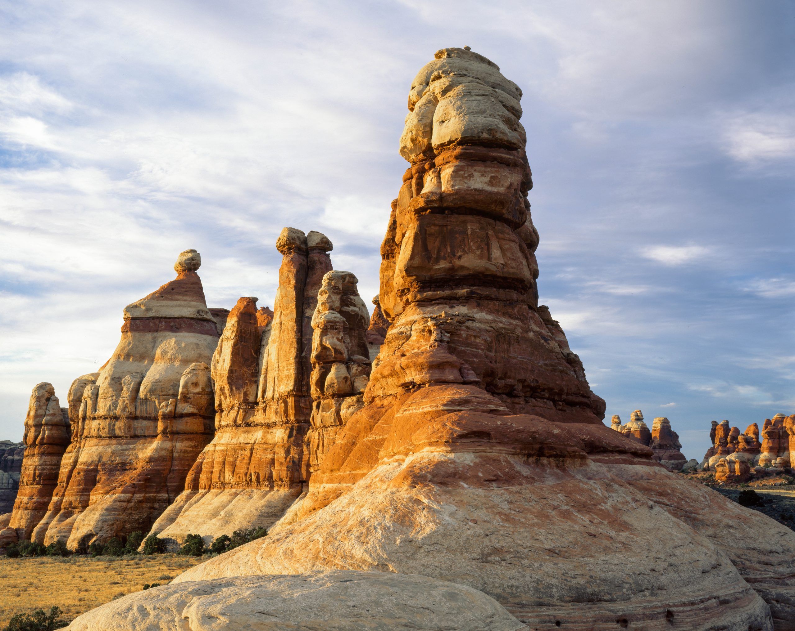 Sunlit red and white sandstone spires rise in a desert landscape at The Needles district of Canyonlands National Park.