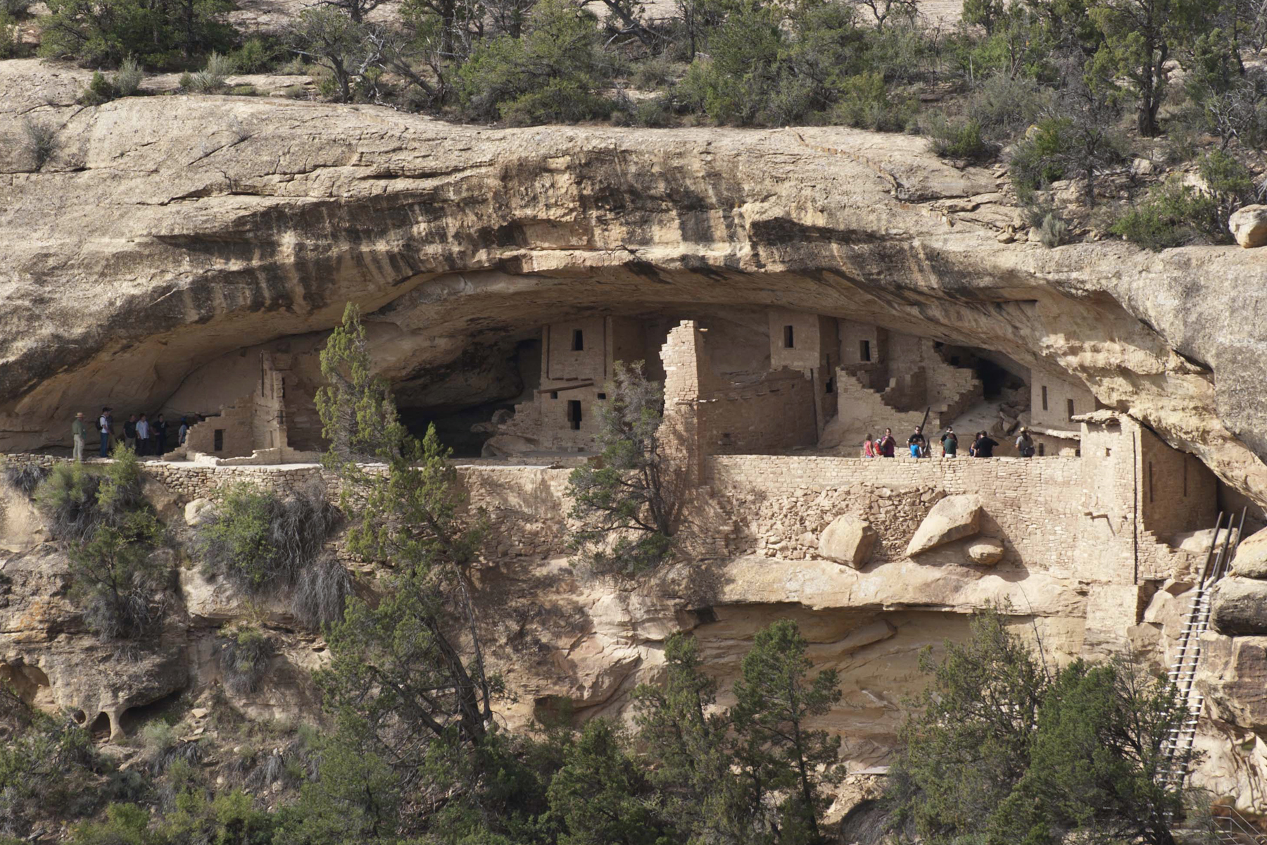 Cliff Palace at Mesa Verde National Park sits inside a sandstone alcove with multi-story Ancestral Pueblo dwellings and a stone balcony wall.