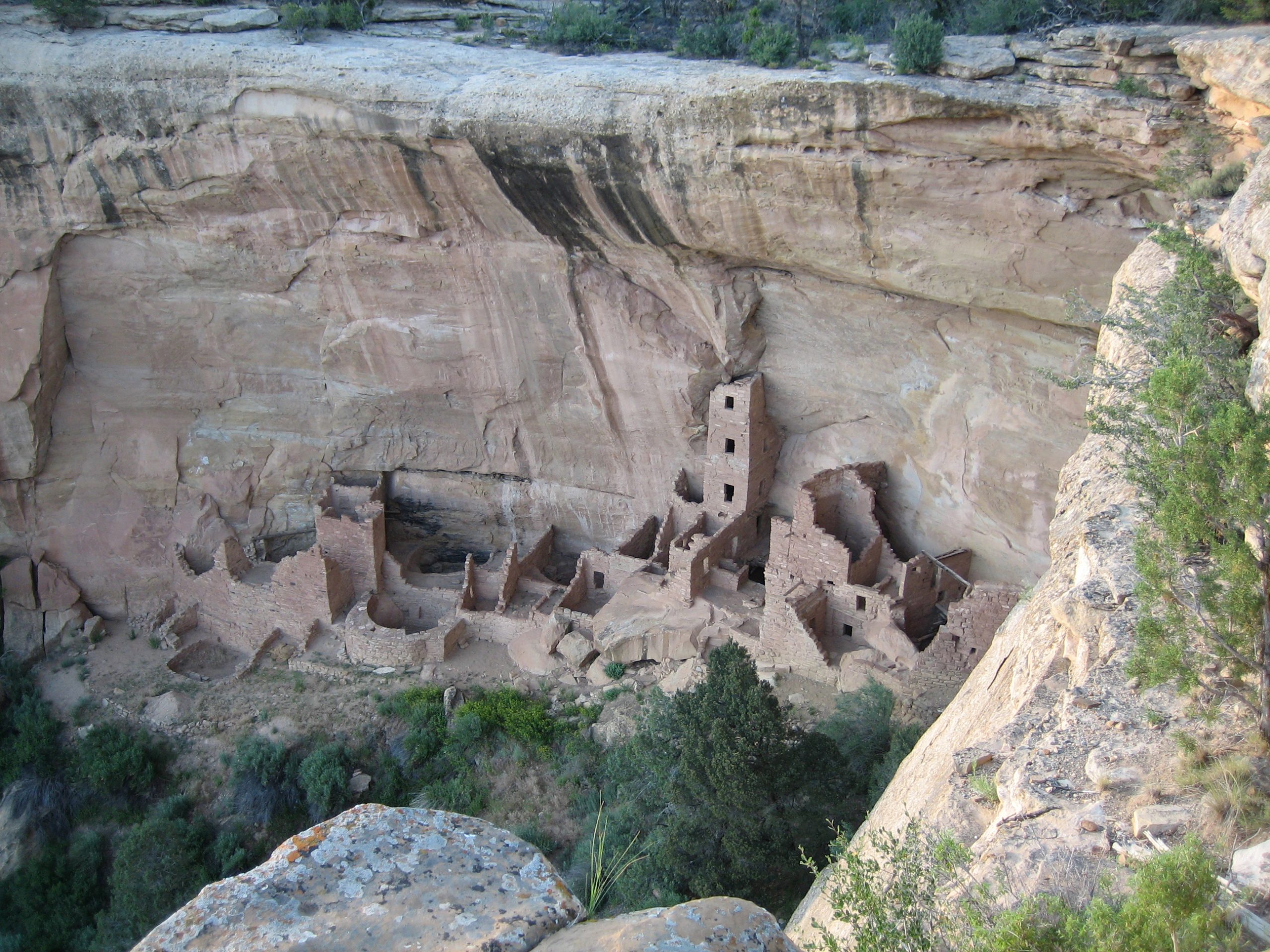 Cliff Palace ruins nestled in a canyon wall at Mesa Verde National Park, showing multi-story stone dwellings and a prominent tower.