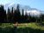 Hikers walk a meadow path toward Mount Rainier with evergreen trees in the foreground and a snowbound peak rising behind.