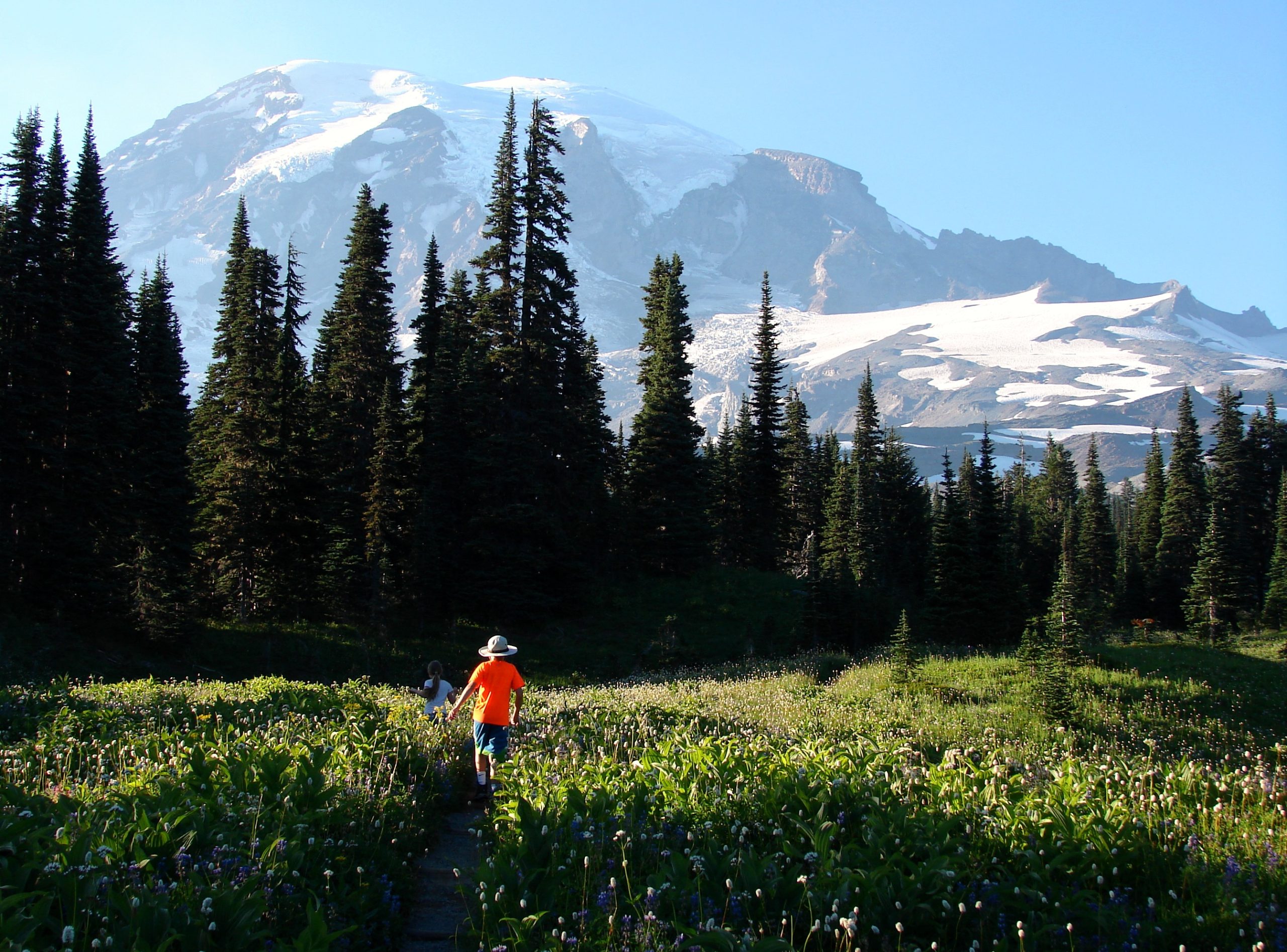 Hikers walk a meadow path toward Mount Rainier with evergreen trees in the foreground and a snowbound peak rising behind.