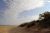 Sandy dune with tall grasses along the Indiana Dunes National Park coastline beneath a bright, partly cloudy sky.