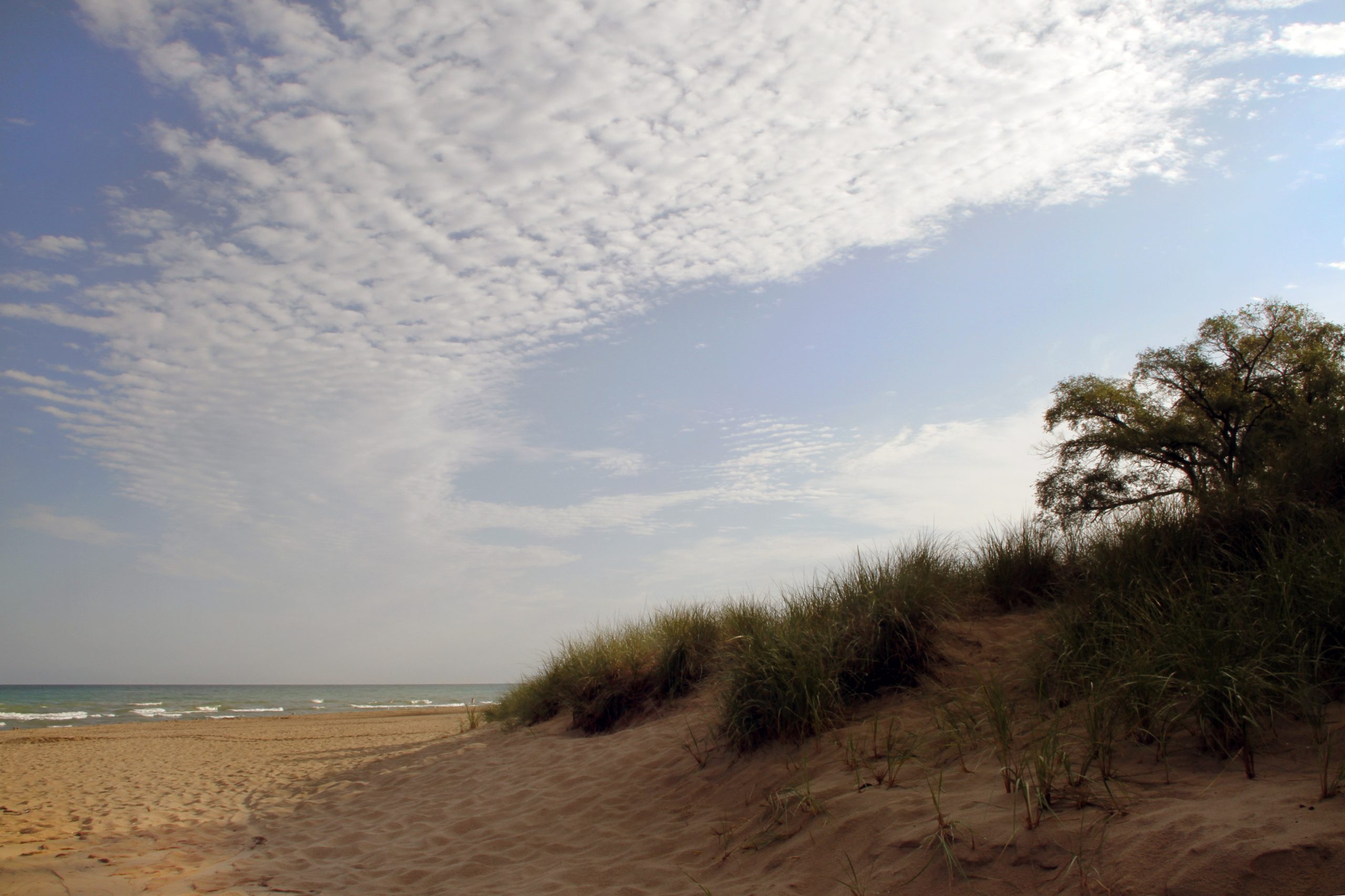 Sandy dune with tall grasses along the Indiana Dunes National Park coastline beneath a bright, partly cloudy sky.