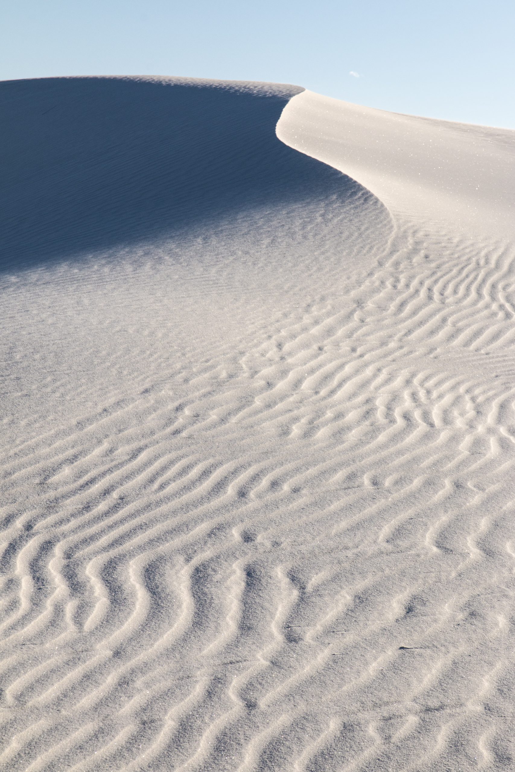 White Sands National Park Dune Field in sculpted gypsum dunes under a clear blue sky.