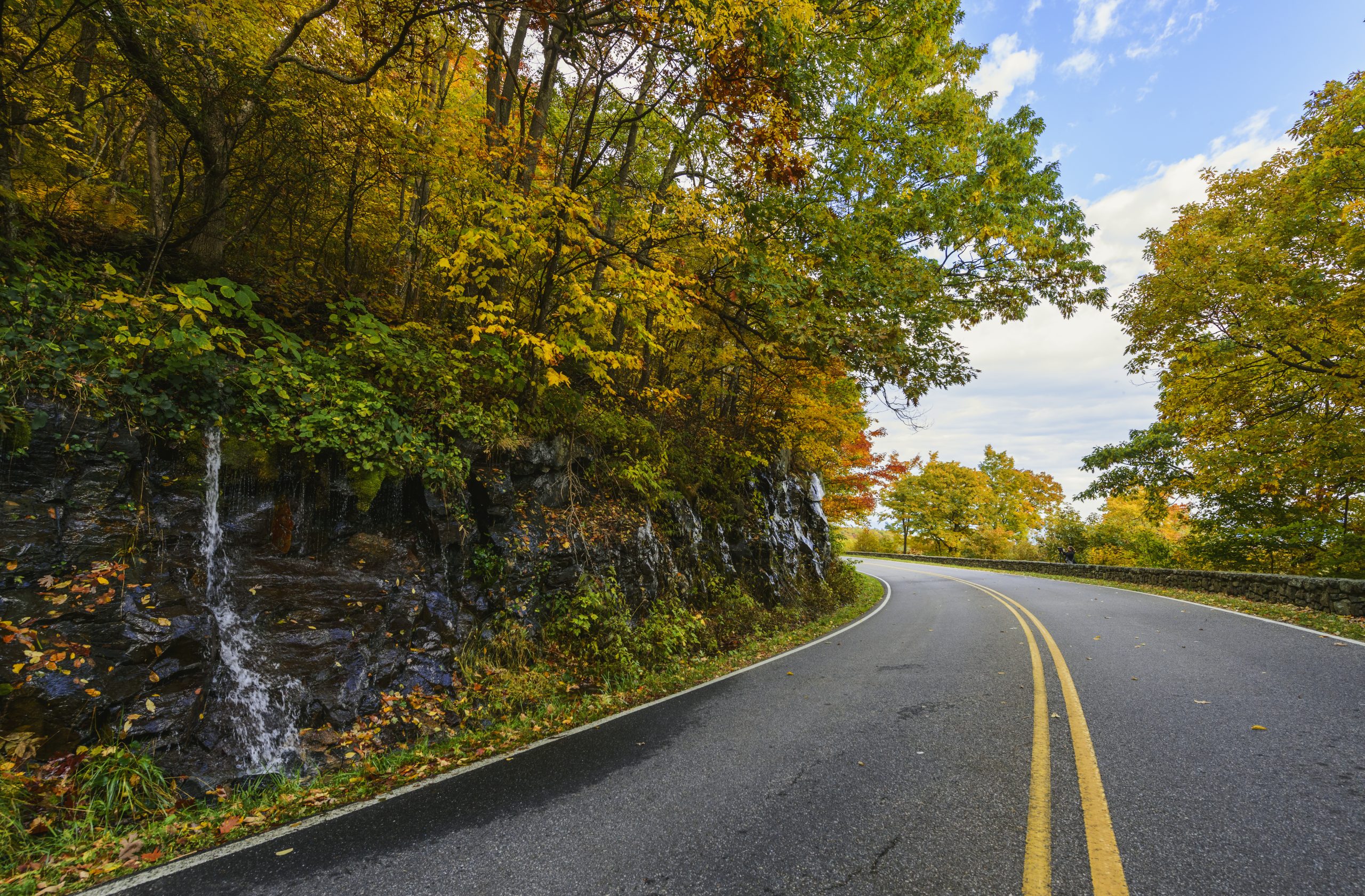 Fall foliage lines a winding Shenandoah National Park road beside a rocky ledge with a small waterfall on the left.