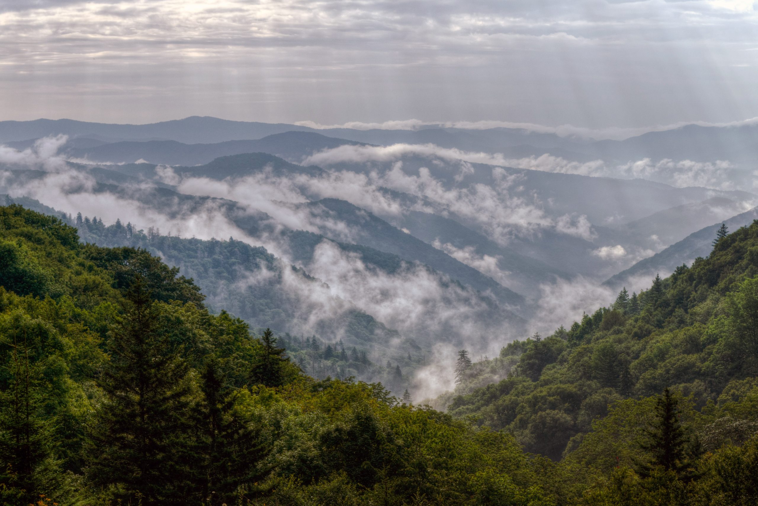 Great Smoky Mountains National Park valley with layered ridges, dense forest, and wispy clouds drifting over the crests.