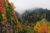 Fall colors along a rocky cliff overlook in Great Smoky Mountains National Park, with fog drifting through the trees.