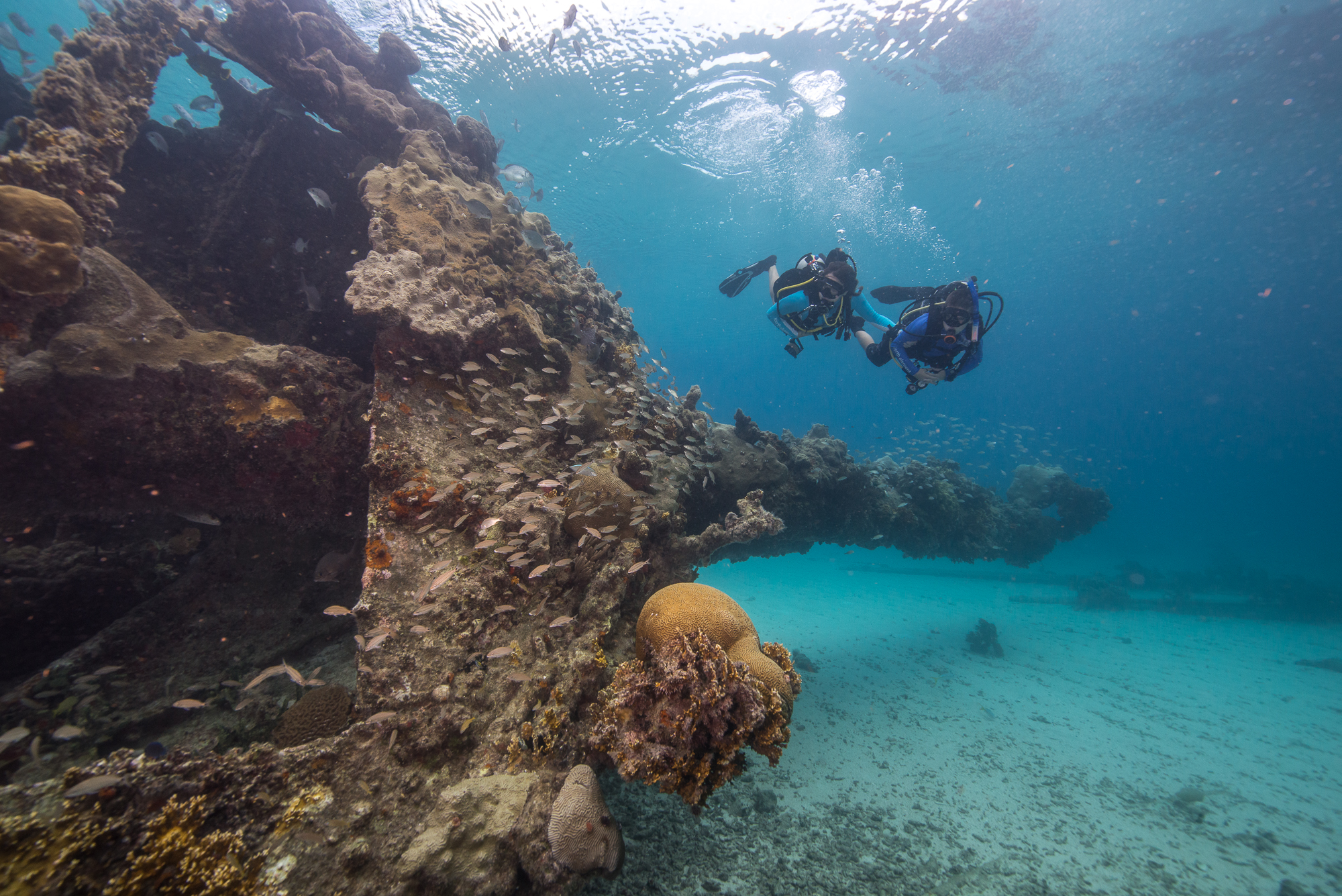 Two scuba divers explore a vibrant coral reef off Dry Tortugas National Park, near a rocky wall covered with sponges and small fish.