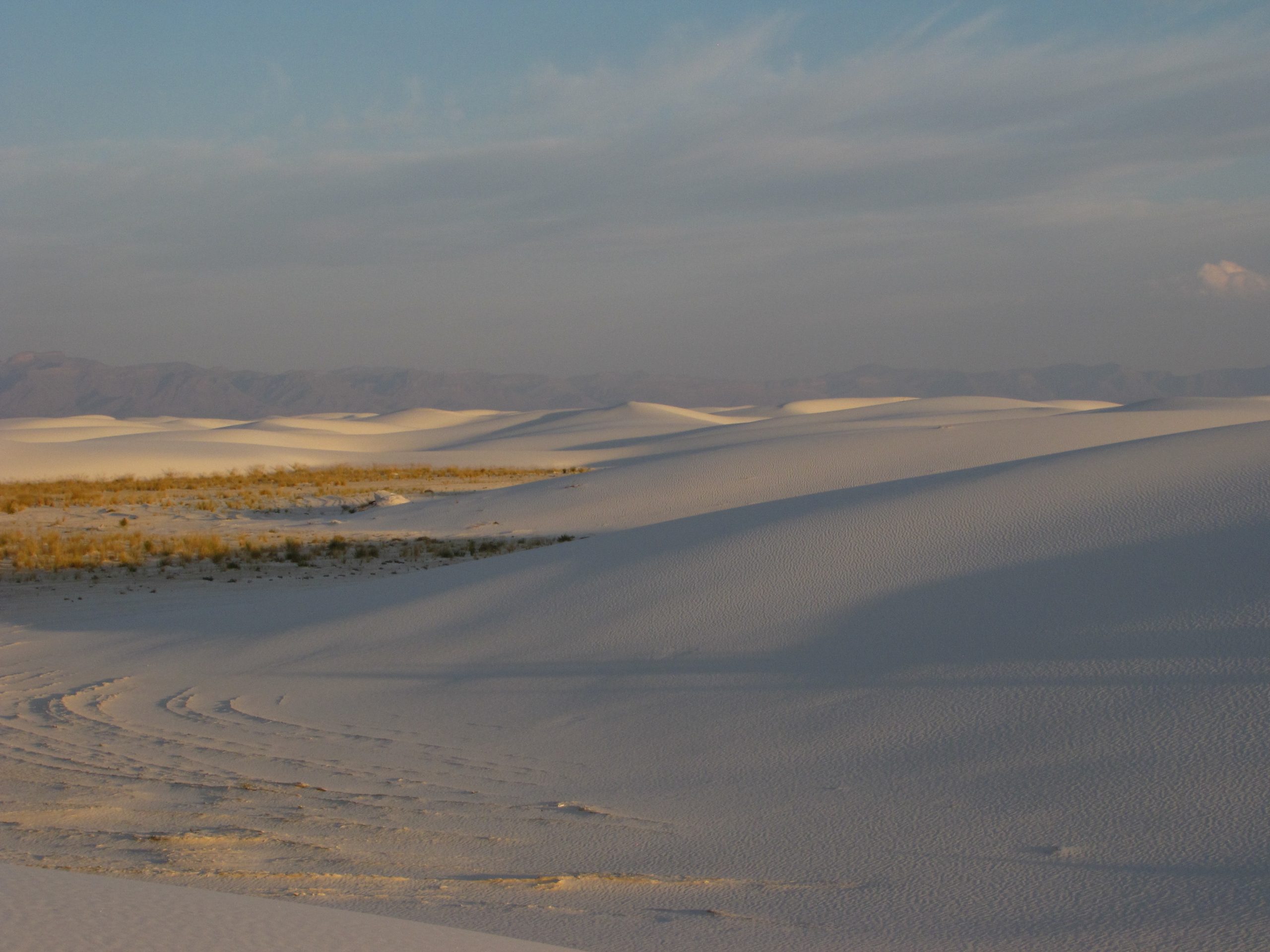 Golden hour over the gypsum dunes of White Sands National Park, with wind-sculpted ripples and sparse grasses.