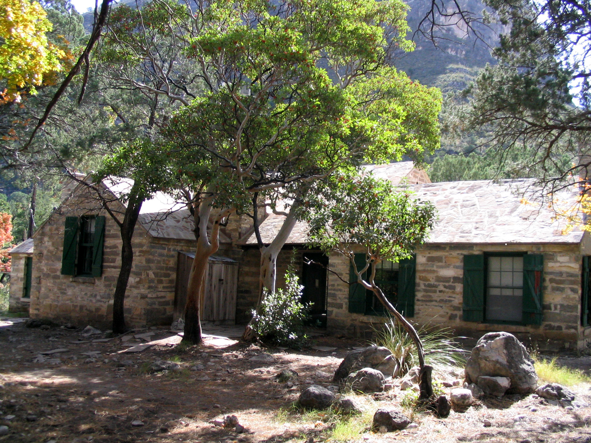 Stone-cottage dwelling with green shutters nestled among trees in Guadalupe Mountains National Park.