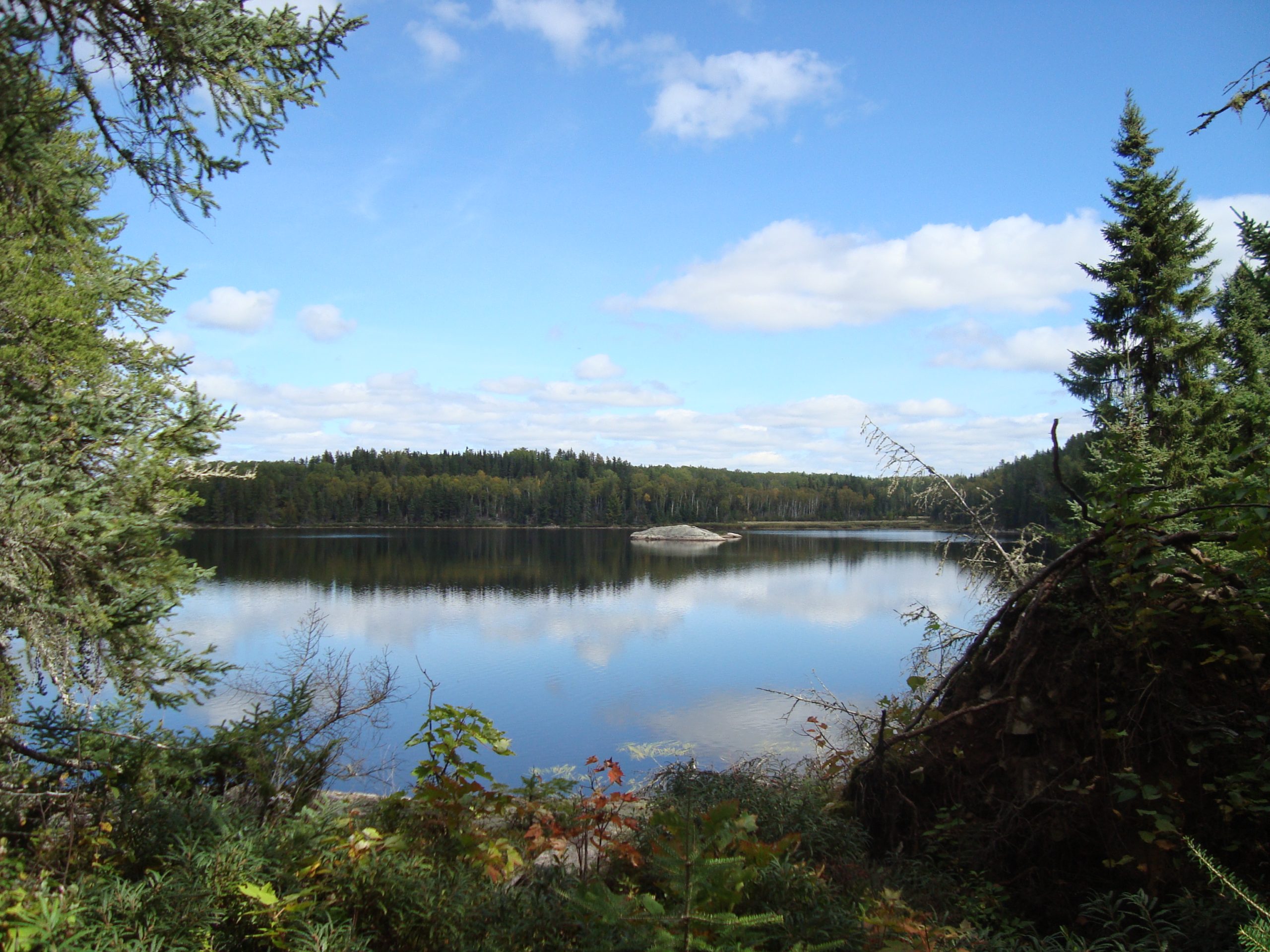 Shoreline scene of Kabetogama Lake in Voyageurs National Park, framed by evergreen trees with a small island in the calm water.