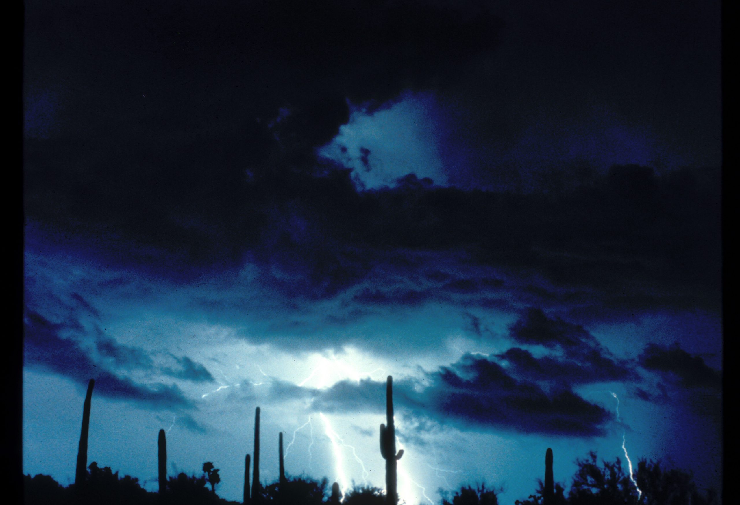 Lightning arcs over a desert landscape with tall Saguaro cacti silhouetted against a blue night sky at Saguaro National Park.