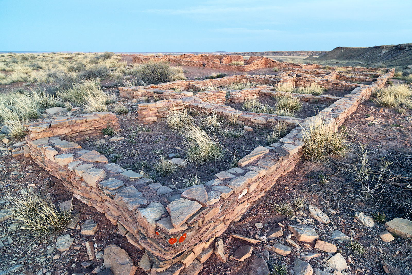 Stone ruin walls rise from arid soil in Petrified Forest National Park, with scrubby brush and a blue sky above.