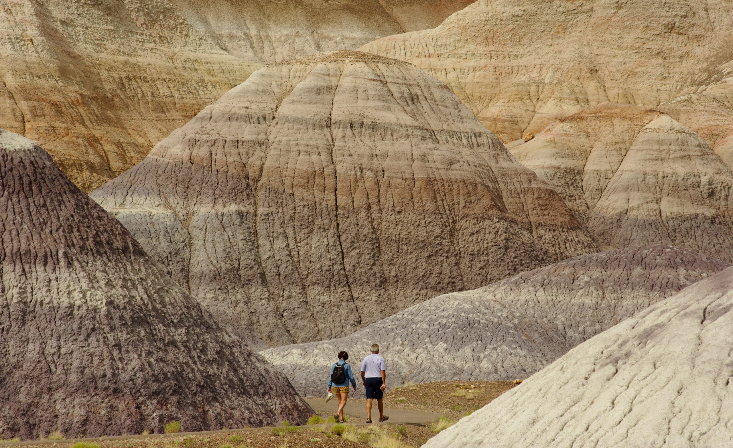 Hikers walk a trail through the multicolored Blue Mesa badlands in Petrified Forest National Park, showing striped sediment layers and rounded hills.