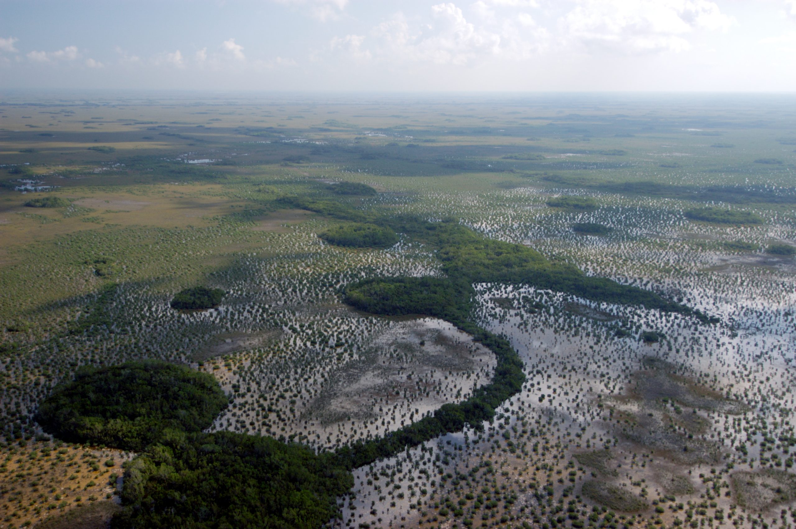 Aerial view over Everglades National Park shows winding mangrove channels and flooded sawgrass plains.