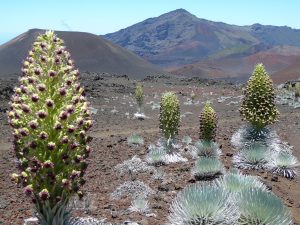Haleakalā National Park