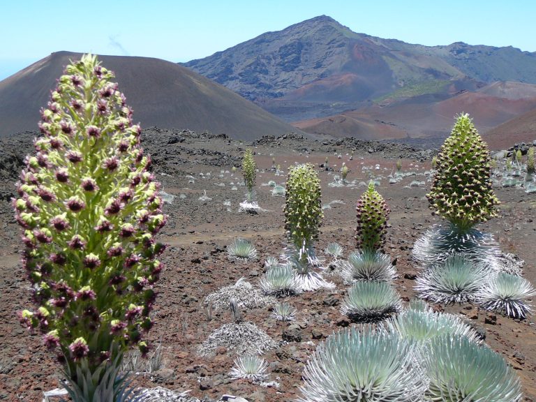 Haleakalā National Park