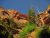 Bright red sandstone arches and canyon walls under a clear blue sky in Zion National Park, with green shrubs and dead trees in the foreground.