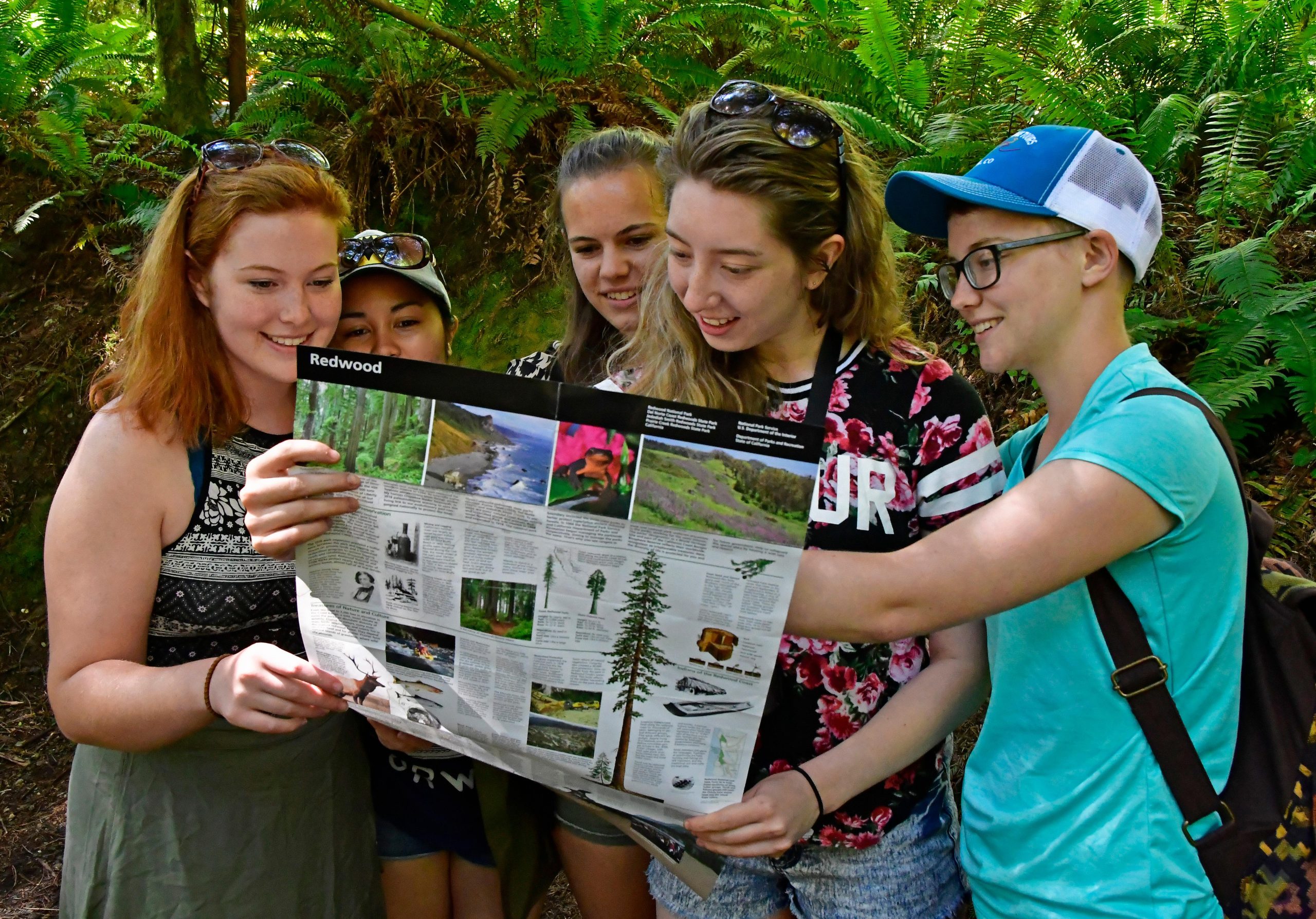 A group of friends study a large Redwood National and State Parks brochure in a fern-filled forest.
